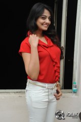 Nikitha Narayan at Ladies and Gentlemen Movie First Look Launch